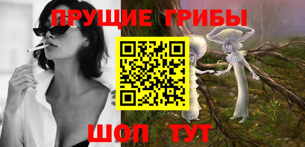 Псилоцибиновые грибы ЛСД  Вход с VPN  как найти наркотики  Псилоцибиновые грибы ЛСД  Вышний Волочёк 