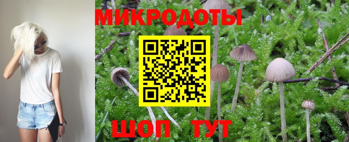 Галлюциногенные грибы MAGIC MUSHROOMS Вышний Волочёк
