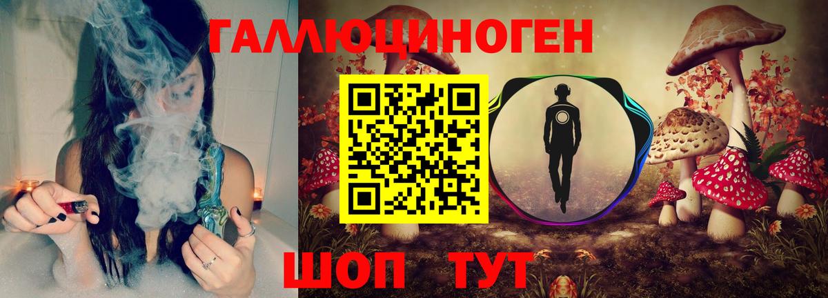 Галлюциногенные грибы Psilocybe  Псилоцибиновые грибы Cubensis  купить наркоту  Вышний Волочёк 