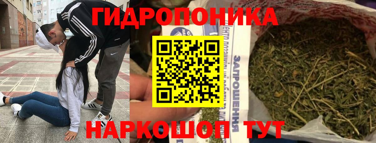 Шишки марихуана THC 21% Вышний Волочёк